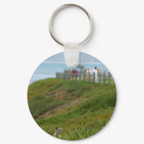 Squirrels At La Jolla Cove keychains