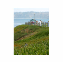 Squirrels At La Jolla Cove photo sculptures by lifesphere Squirrels At La Jolla Cove photo sculptures
