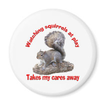 Squirrels at Play Magnets