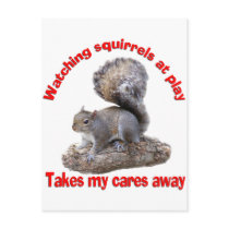Squirrels at Play postcards by TLArnold Squirrels at Play postcards
