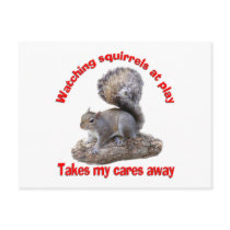 Squirrels at Play postcards by TLArnold Squirrels at Play postcards