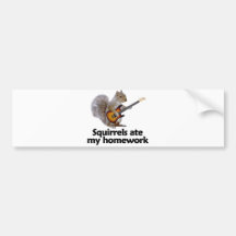 Squirrels ate my homework bumper stickers