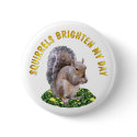 Squirrels Brighten My Day buttons