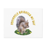 Squirrels Brighten My Day Postcard