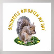Squirrels Brighten My Day Posters