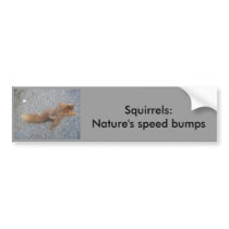 Squirrels bumper stickers