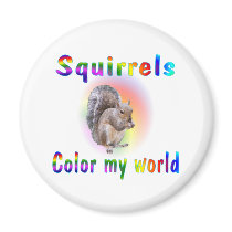 Squirrels Color My World Magnet