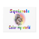 Squirrels Color My World Post Cards