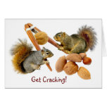 Squirrels Cracking Nuts cards