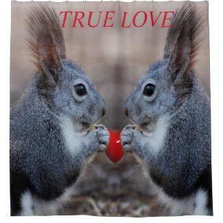 Squirrels in love