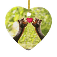 Squirrels in Love Photo Christmas Tree Ornaments