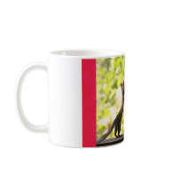 Squirrels in Love Photo Mugs