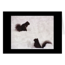 Squirrels in snow cards