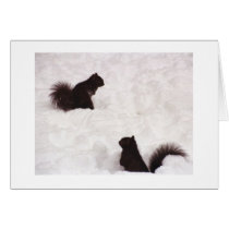 Squirrels in snow cards