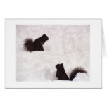Squirrels in snow cards