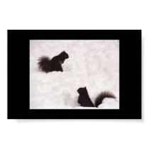 Squirrels in snow posters by susanskinner Squirrels in snow posters