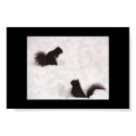Squirrels in snow posters