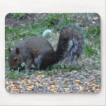 Squirrels Lunch Time Mousepad