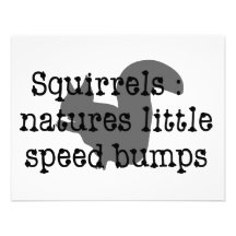 Squirrels : Natures Little Speedbumps Invitations