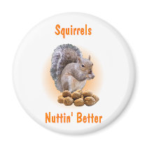 Squirrels Nuttin Better magnets