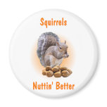 Squirrels Nuttin Better magnets