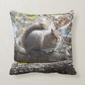 squirrels pillow