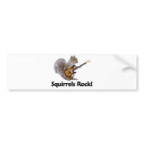 Squirrels Rock! Bumper Stickers