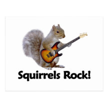 Squirrels Rock! Post Cards