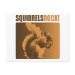 Squirrels Rock! Postcards