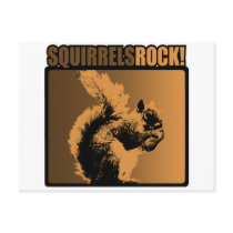 Squirrels Rock! Post Cards