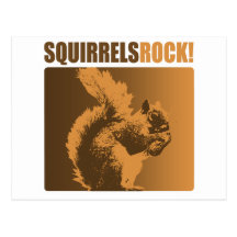 Squirrels Rock! Postcards