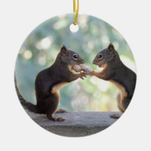 Squirrels Sharing a Peanut Photo Ornaments