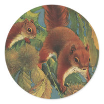 Squirrels stickers by Tchotchke Squirrels stickers