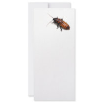 Squish the Hisser Personalized Rack Card