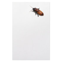 Squish the Hisser Customized Stationery