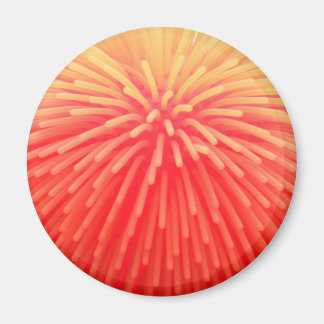 red squishy ball