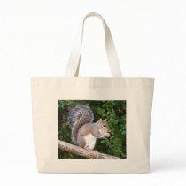 Squrrel Eating Bread bags by TLArnold Squrrel Eating Bread bags