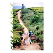 Sri Lanka posters