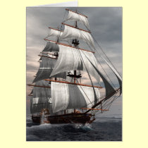 SS Savannah cards by jedswindells SS Savannah cards
