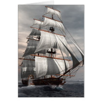 SS Savannah cards by jedswindells SS Savannah cards