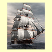 SS Savannah posters