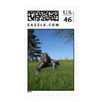 Sssssnake in the Grass 10 Postage postage by MDKgraphics Sssssnake in the Grass 10 Postage postage