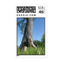 Sssssnake in the Grass 14 Postage postage by MDKgraphics Sssssnake in the Grass 14 Postage postage