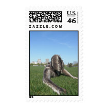 Sssssnake in the Grass 1 Postage postage by MDKgraphics Sssssnake in the Grass 1 Postage postage