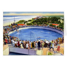 St. Augustine Florida Marine Studios Card