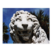 St. Augustine Lion Post Card