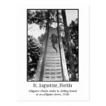 St. Augustine retro alligator Postcard