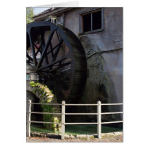 St. Augustine Watermill Cards