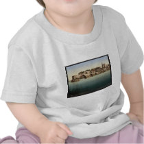St. Benezech (i.e., Saint Benexet), bridge, Avigno Tshirts