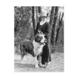 St Bernard & Boston Terrier, 1925 Postcard